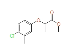 Methyl 2-(4-chloro-3-methylphenoxy)propanoate, 97%