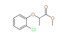 Methyl 2-(2-chlorophenoxy)propanoate, 95%