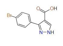 3-(4-Bromophenyl)-1H-pyrazole-4-carboxylic acid, 95%