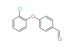 4-(2-Chlorophenoxy)benzaldehyde, 96%+
