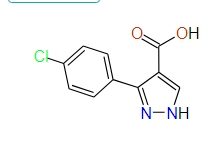 3-(4-Chlorophenyl)-1H-pyrazole-4-carboxylic acid, 95%