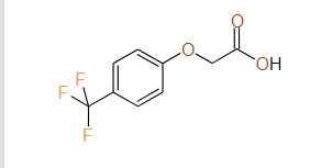 2-[4-(Trifluoromethyl)phenoxy]acetic acid, 97%
